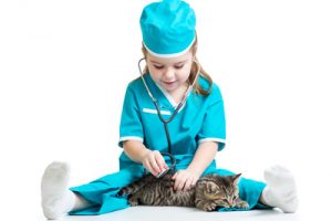 Child girl playing doctor with cat kitten